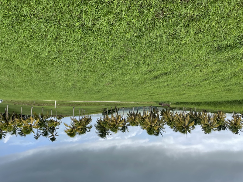 Land Hillview For Sale in Hill View Barbados